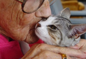 therapy animals