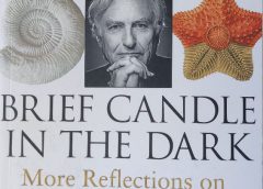 Book Review: Brief Candle in the Dark by Richard Dawkins