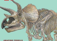 Book Review: The Story of the Dinosaurs in 25 Discoveries by Donald R. Prothero