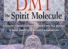 Book Review: DMT The Spirit Molecule by Rick Strassman