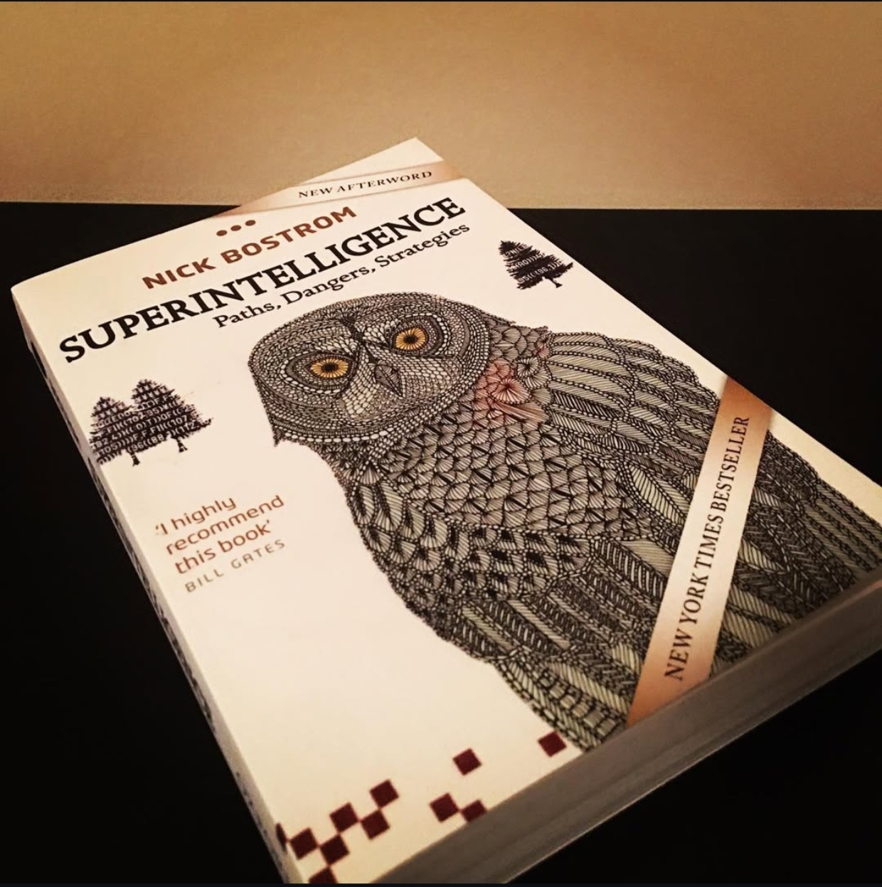 Book Review: Superintelligence by Nick Bostrom – TechieTonics